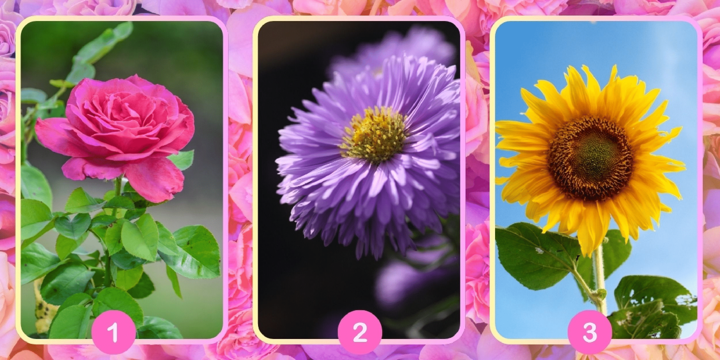 Persönlichkeitstest: Entdecken Sie Ihre innere Essenz, indem Sie eine der 3 Blumen im Bild auswählen!