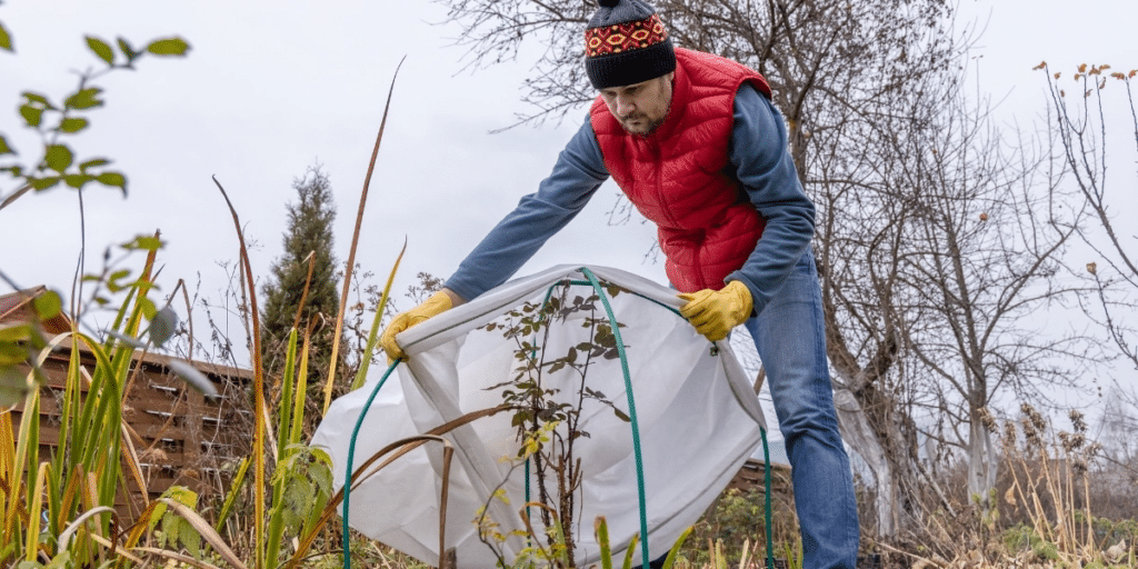 Bereiten Sie Ihren Garten auf den Winter vor: Tipps und Tricks