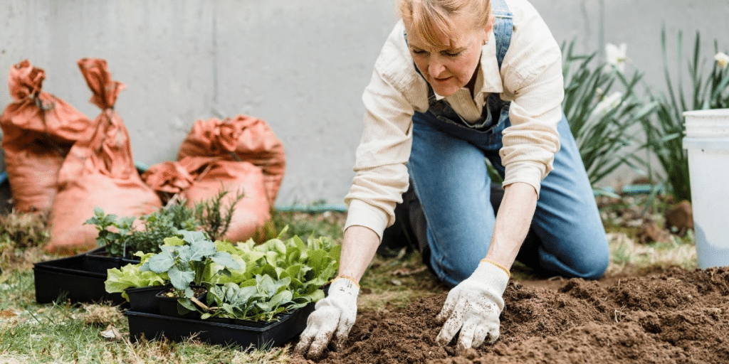 Bereiten Sie Ihren Garten auf den Winter vor: wichtige Tipps und Techniken